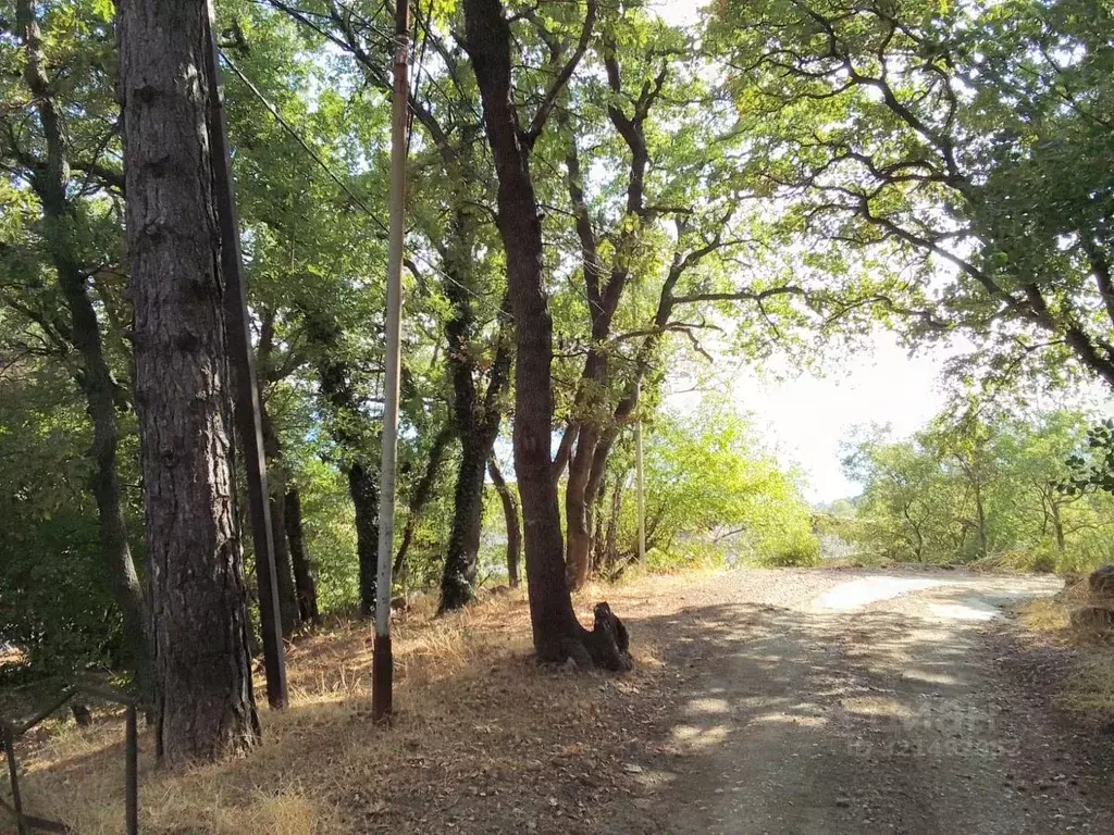 Участок в Крым, Алупка ш. Южнобережное, 16Б (6.0 сот.) - Фото 1