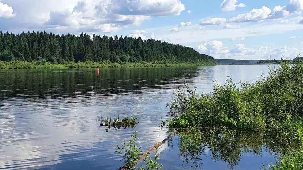 Участок в Вологодская область, Тотемский муниципальный округ, д. ... - Фото 1