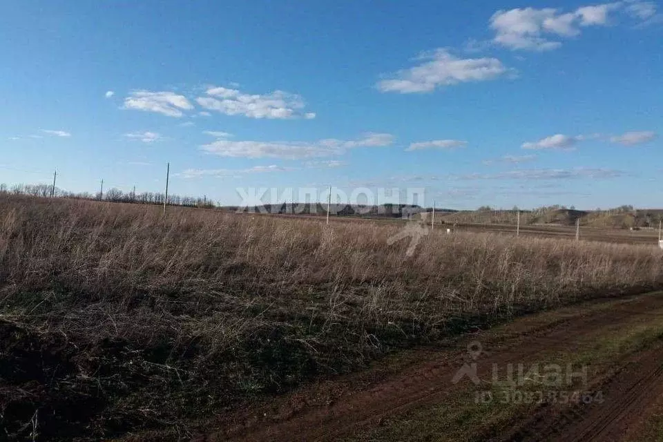 Участок в Белгородская область, Белгородский район, Беломестненское ... - Фото 0