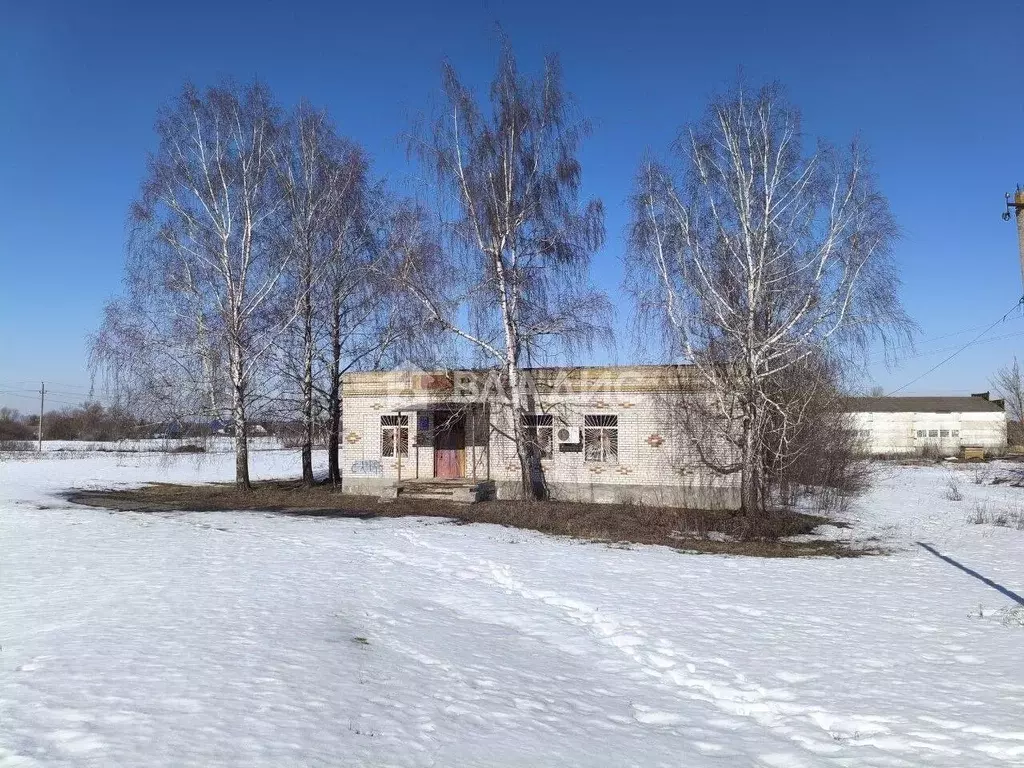 Помещение свободного назначения в Белгородская область, ... - Фото 1