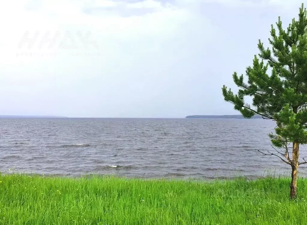 Участок в Нижегородская область, Сокольский городской округ, д. ... - Фото 1