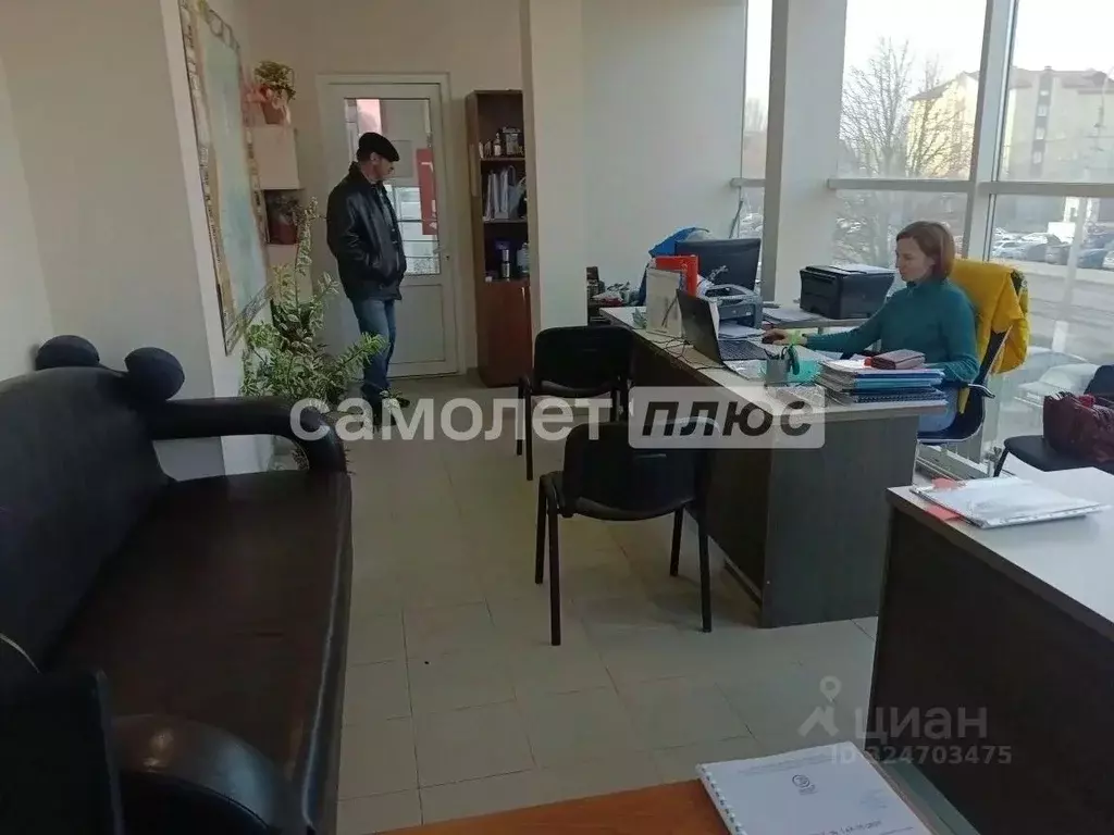 Торговая площадь в Белгородская область, Белгород ул. Губкина, 25А (24 ... - Фото 2