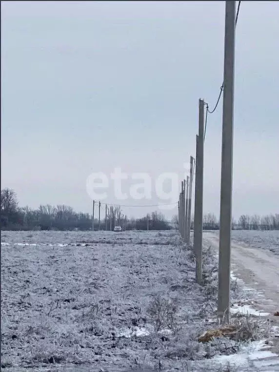 Участок в Ростовская область, Мясниковский район, Краснокрымское ... - Фото 1