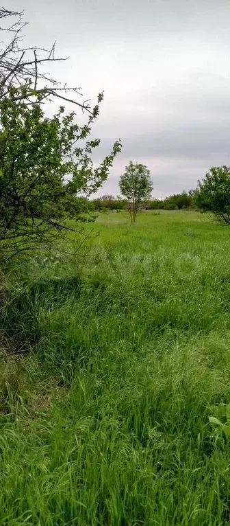 Дом 30 м на участке 20 сот. - Фото 1