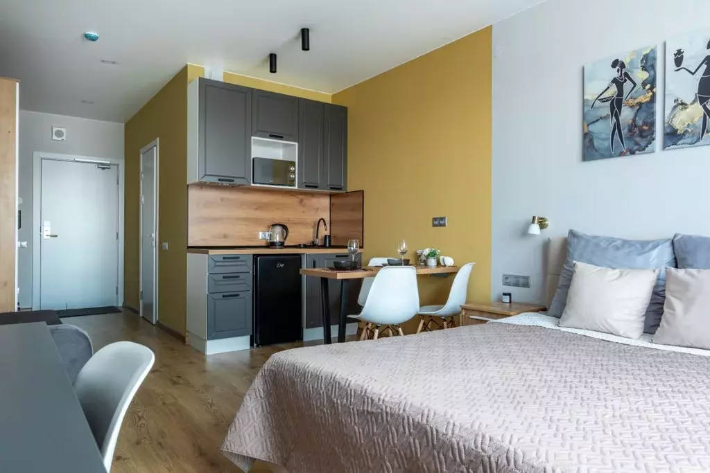 Студия Санкт-Петербург дор. На Турухтанные острова, 5к1 (26.0 м) - Фото 2