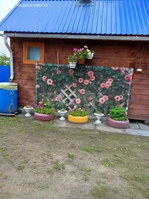 Дом в Тюмень, СНТ Ягодное, Цветочная улица (48 м) - Фото 1