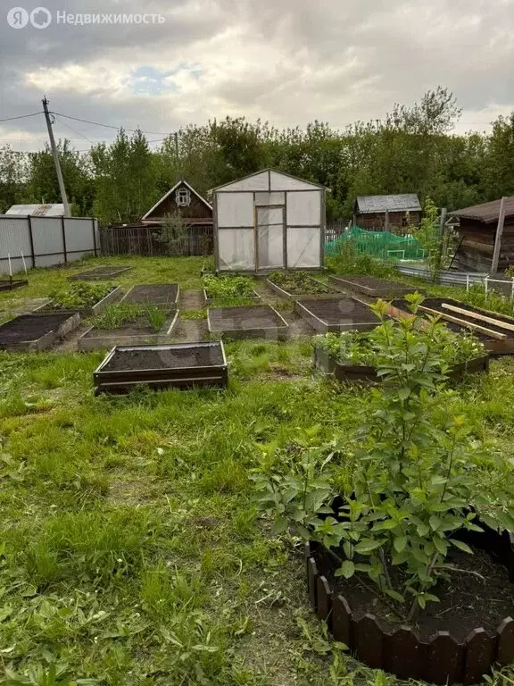 Дом в Новосибирск, СНТ Золотая Горка, 5-я аллея (40 м) - Фото 1