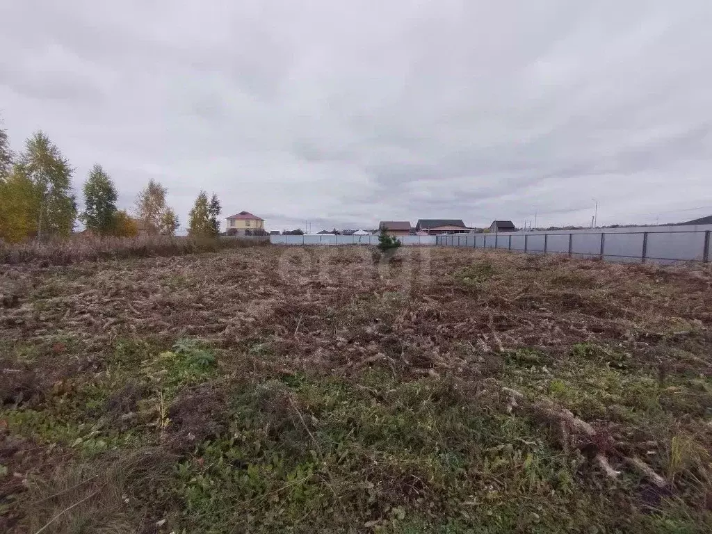 Участок в Тюменская область, Тюменский муниципальный округ, д. Ушакова ... - Фото 1