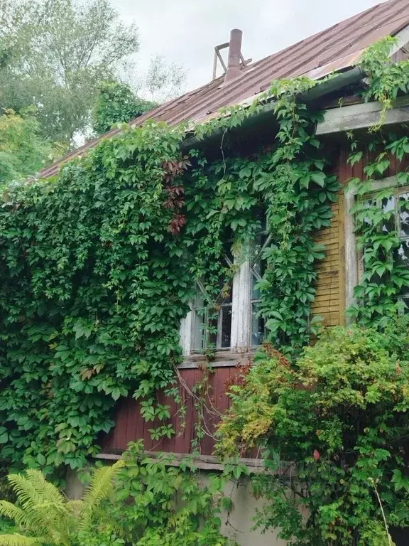 Участок в Ленинградская область, Кировский район, Мгинское городское ... - Фото 2