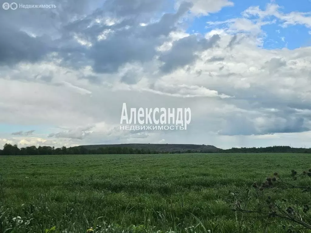 Участок в Виллозское городское поселение, садоводческое некоммерческое ... - Фото 1