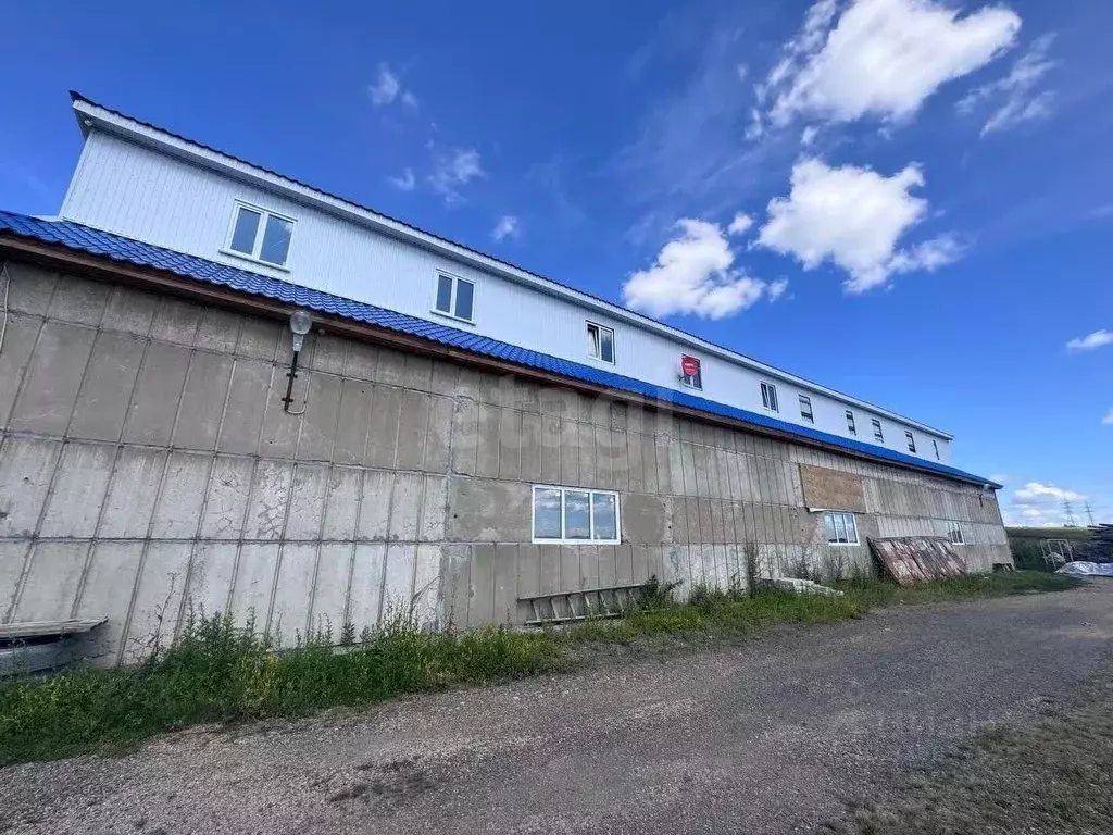 Склад в Красноярский край, Емельяново пгт ул. Советская, 175В (500 м) - Фото 2