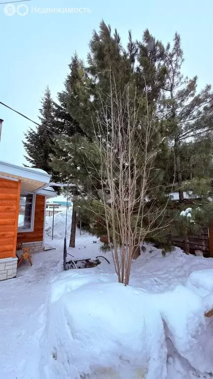 Дом в Кемеровский муниципальный округ, деревня Смолино, Болотная улица ... - Фото 2