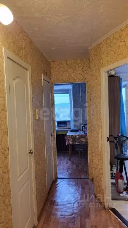 1-к кв. Санкт-Петербург, Санкт-Петербург, Петергоф Чебышевская ул., ... - Фото 0