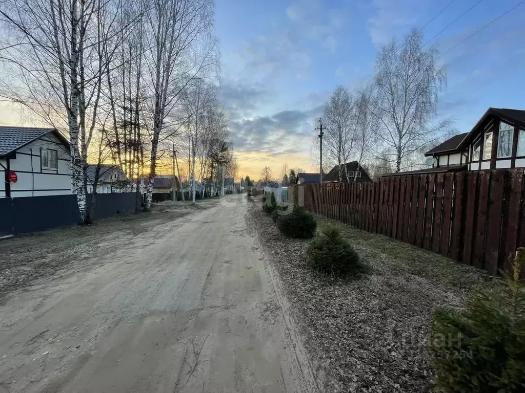 Участок в Костромская область, Красносельский район, Боровиковское ... - Фото 1