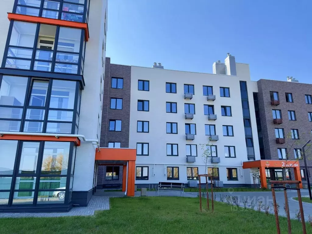 1-к кв. Белгородская область, Строитель Яковлевский городской округ, ... - Фото 1