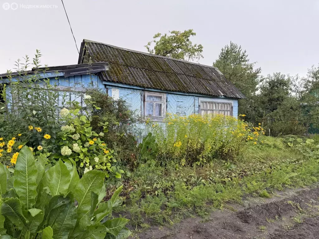 Дом в Брянск (15 м) - Фото 1