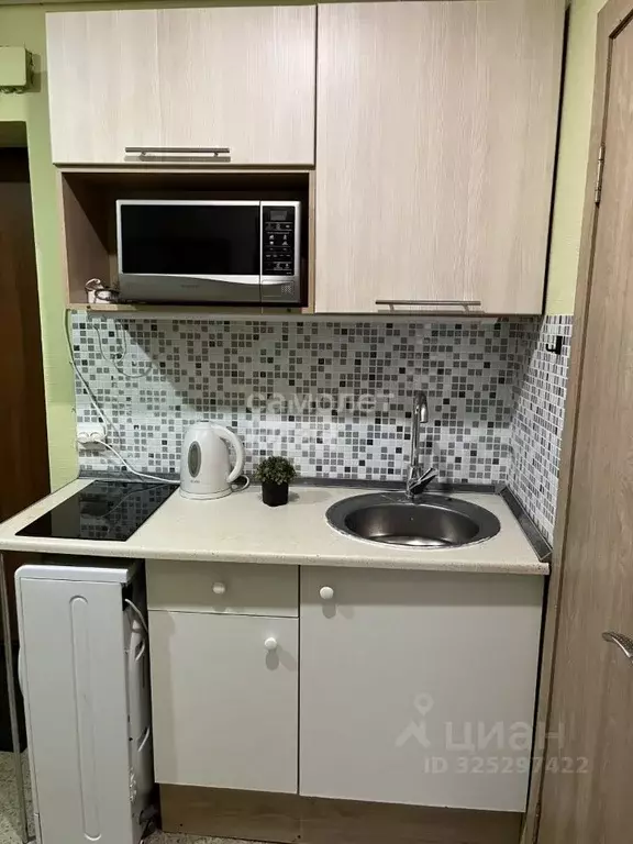 2-к кв. Воронежская область, Воронеж ул. Березовая Роща, 28/1 (25.0 м) - Фото 1