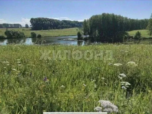 Участок, 824 сот., поселения (ижс) - Фото 0