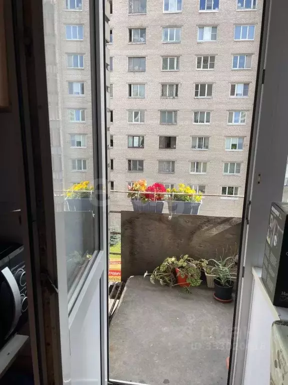 Комната Санкт-Петербург ул. Беринга, 32К2 (12.7 м) - Фото 2