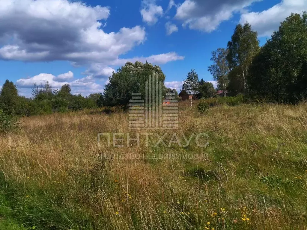 Участок в Владимирская область, Судогодский район, Головинское ... - Фото 0