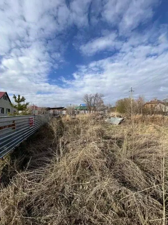 Участок в Амурская область, Благовещенский район, с. Чигири ул. ... - Фото 2
