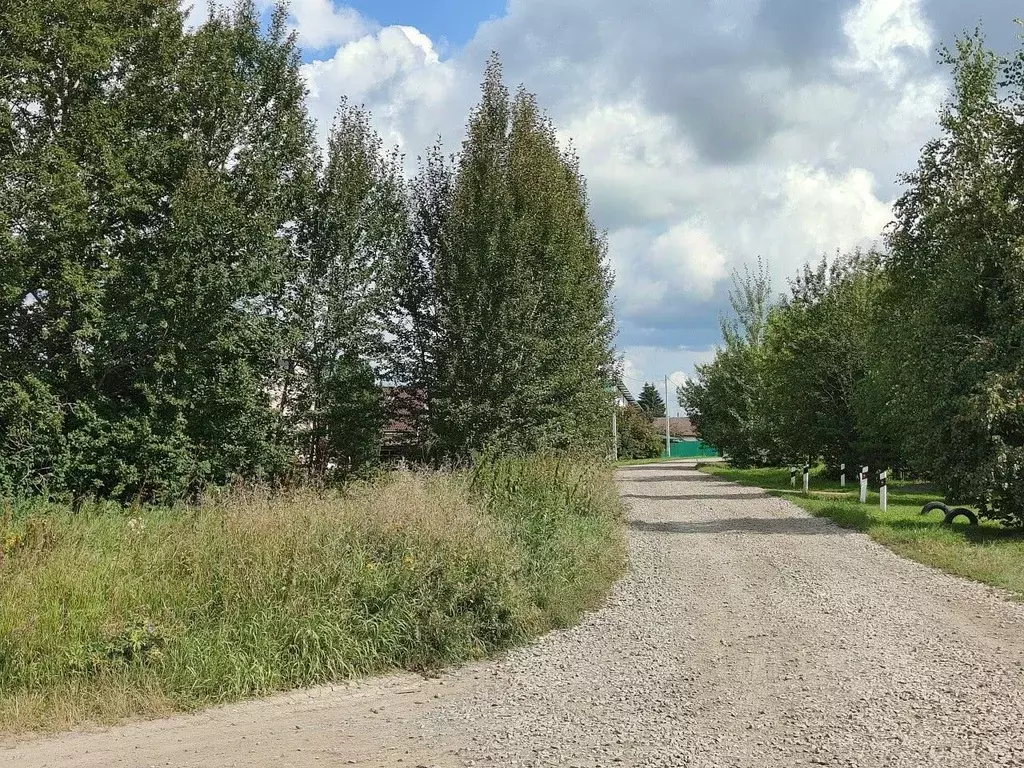 Участок в Свердловская область, Верхнее Дуброво пгт ул. Карла Маркса ... - Фото 2