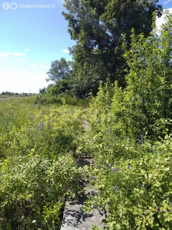 Участок в деревня Ожгиха, Советская улица (25 м) - Фото 2