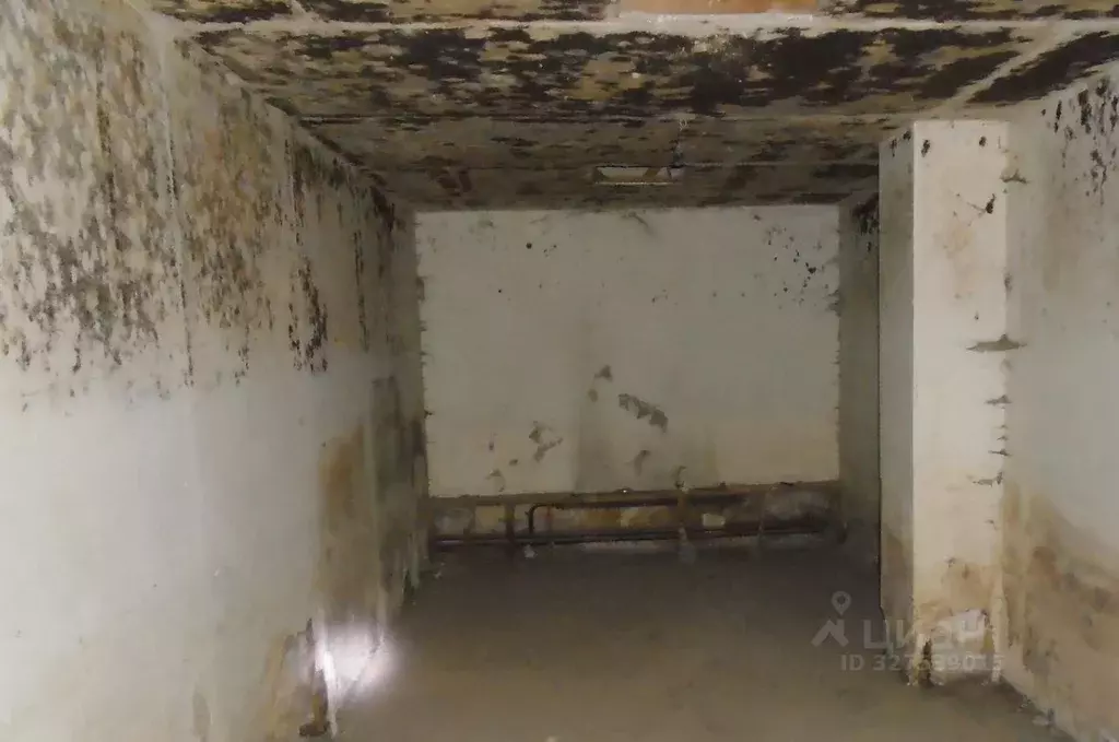 Помещение свободного назначения в Новосибирская область, Новосибирск ... - Фото 1