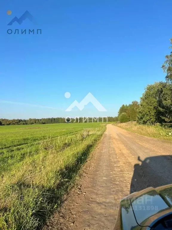 Участок в Вологодская область, Грязовецкий муниципальный округ, д. ... - Фото 2