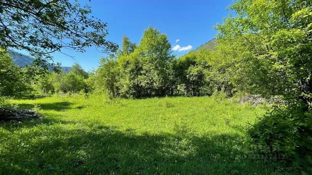 Участок в Алтай, Чемальский район, с. Анос ул. Чорос-Гуркина, 40 (10.0 ... - Фото 2