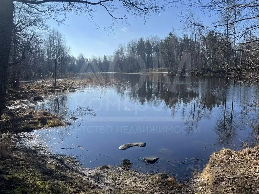 Участок в Ленинградская область, Приозерский район, Мельниковское ... - Фото 2