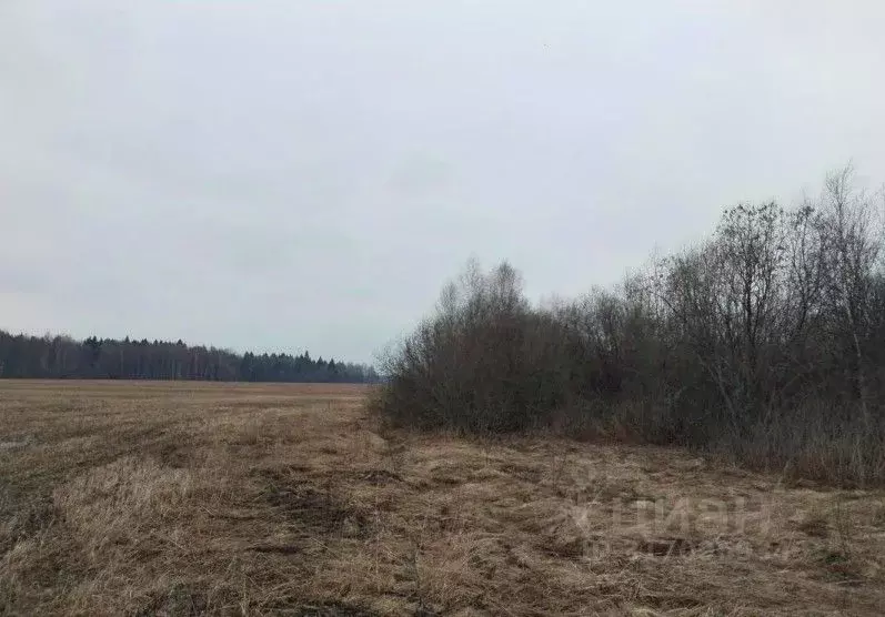 Участок в Московская область, Дмитровский муниципальный округ, д. ... - Фото 1