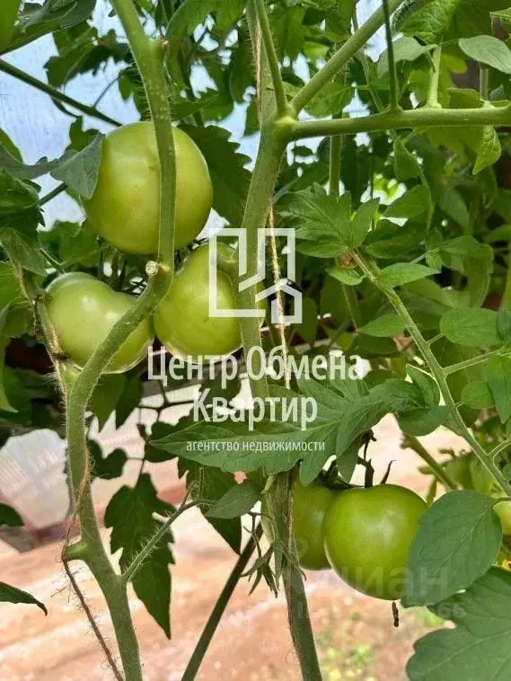 Дом в Иркутская область, Иркутский муниципальный округ, Маркова рп, ... - Фото 2