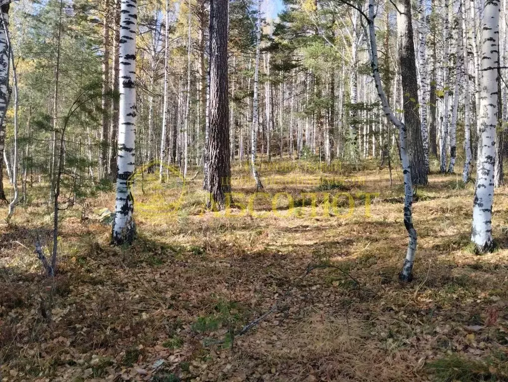 Участок в Свердловская область, Дегтярск ул. Жуковского, 35 (13.5 ... - Фото 1