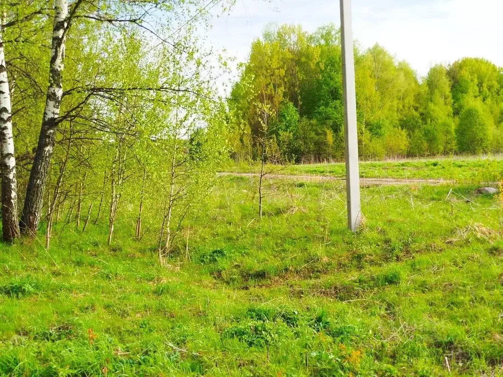 Участок в Калужская область, Калуга городской округ, д. Лихун ул. ... - Фото 0