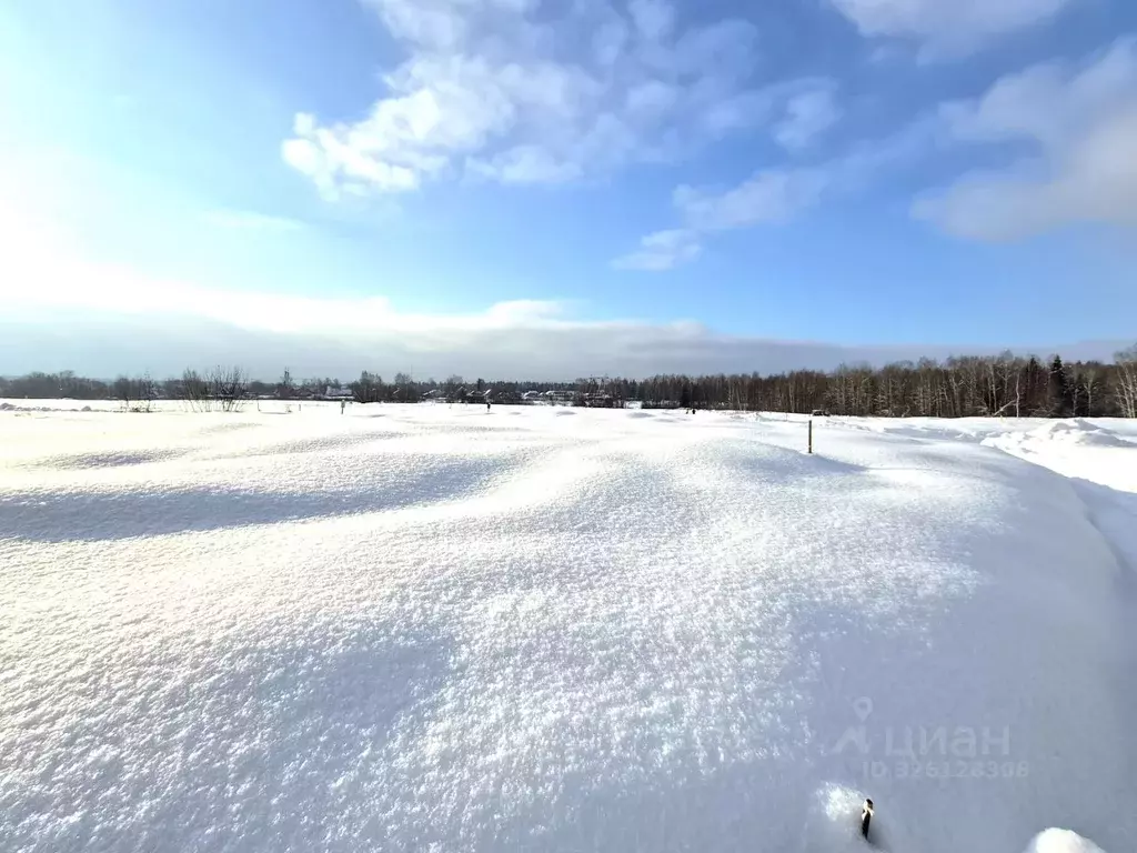 Участок в Московская область, Мытищи городской округ, д. Юрьево  (7.0 ... - Фото 2