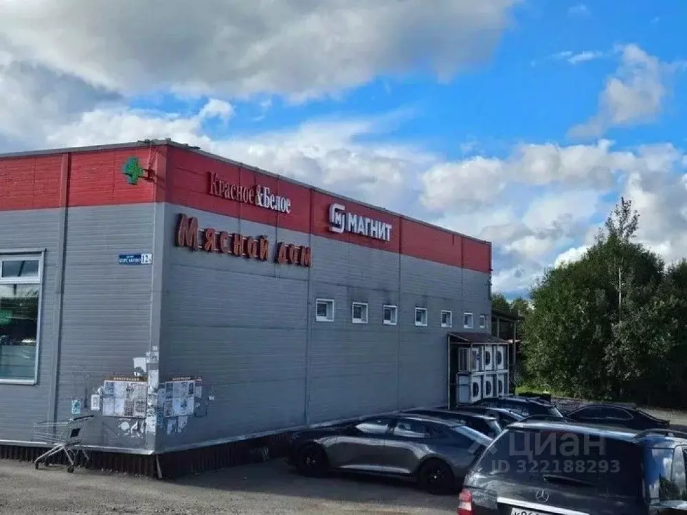 Торговая площадь в Московская область, Истра муниципальный округ, д. ... - Фото 1