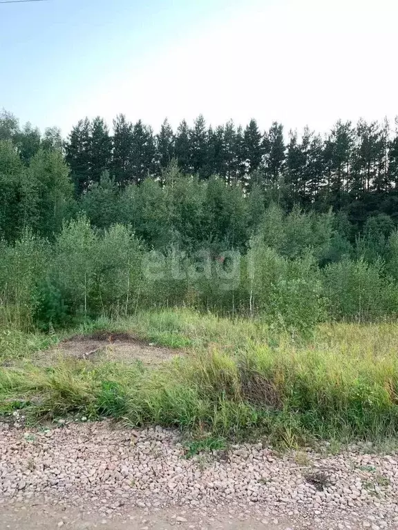 Участок 10 сот. (ИЖС) - Фото 0