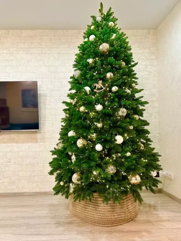 1-к кв. Томская область, Томск тракт Иркутский, 42 (50.0 м) - Фото 2