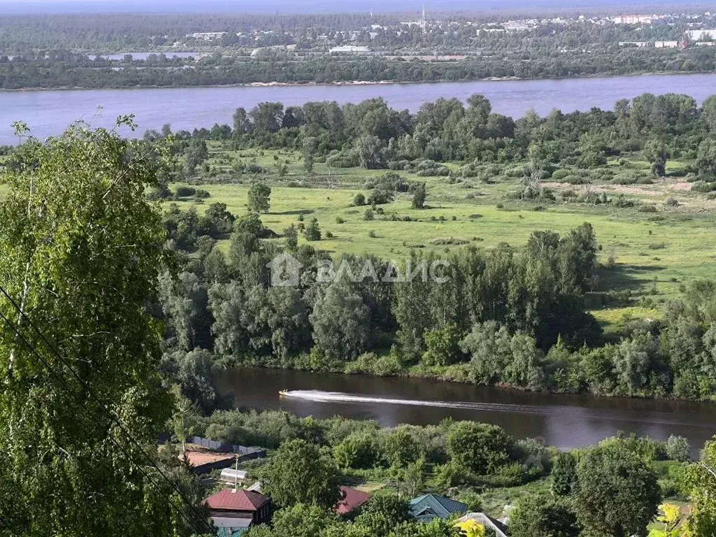 Участок в Нижегородская область, Нижний Новгород с. Кадницы, ул. ... - Фото 0