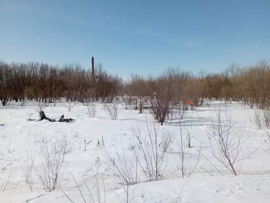 Участок в Еврейская автономная область, Смидовичский район, Николаевка ... - Фото 0