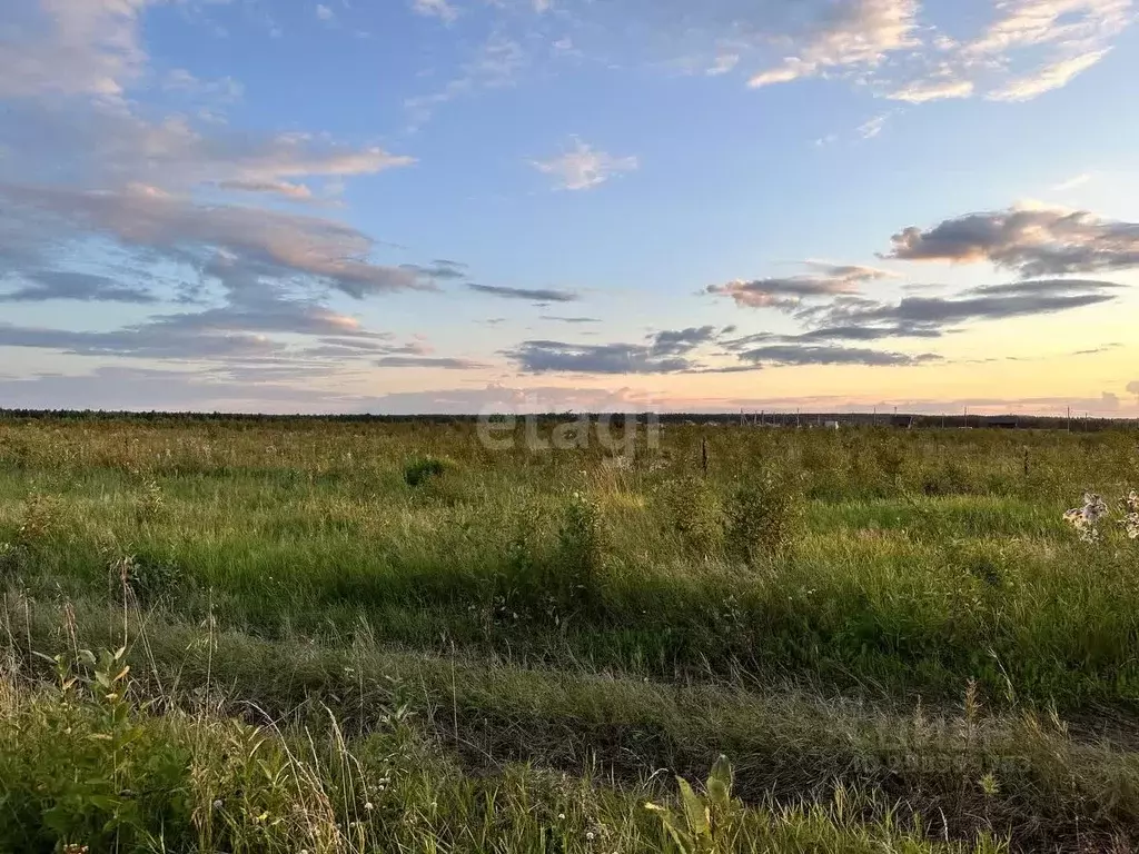 Участок в Свердловская область, Горноуральский городской округ, с. ... - Фото 1