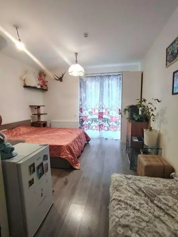 Студия Ленинградская область, Всеволожский район, пос. Бугры ул. ... - Фото 1