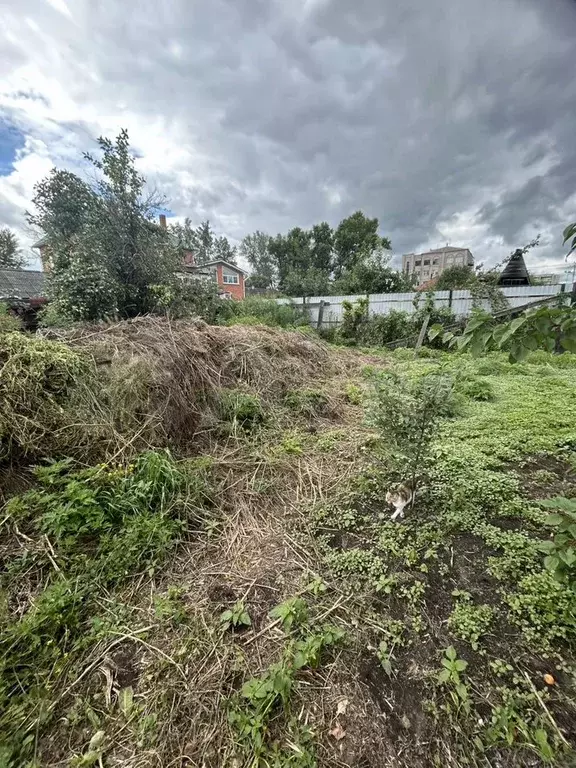Участок 10,6 сот. (ИЖС) - Фото 1