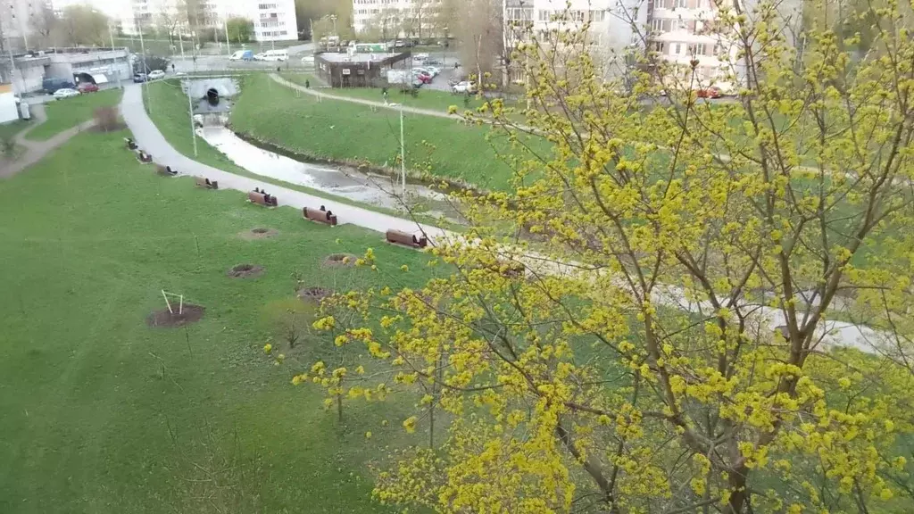 1-к кв. Санкт-Петербург просп. Ветеранов, 11 (30.5 м) - Фото 1