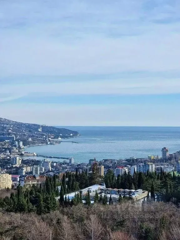 2-к кв. Крым, Ялта муниципальный округ, Виноградное пгт ш. ... - Фото 1