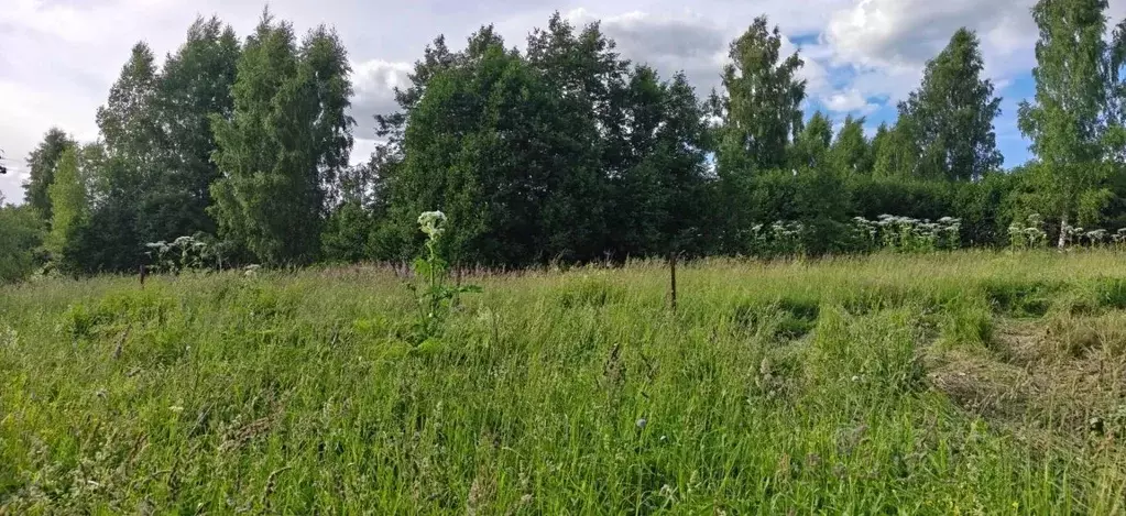 Участок в Московская область, Рузский муниципальный округ, д. ... - Фото 1