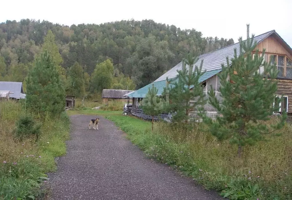 Коттедж в Алтай, Чойский район, с. Туньжа  (240 м) - Фото 0