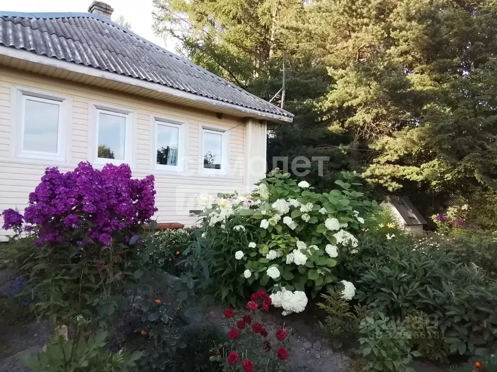 Дом в Вологодская область, д. Антоново (Вотчинский сельсовет) 1 (52 м) - Фото 1