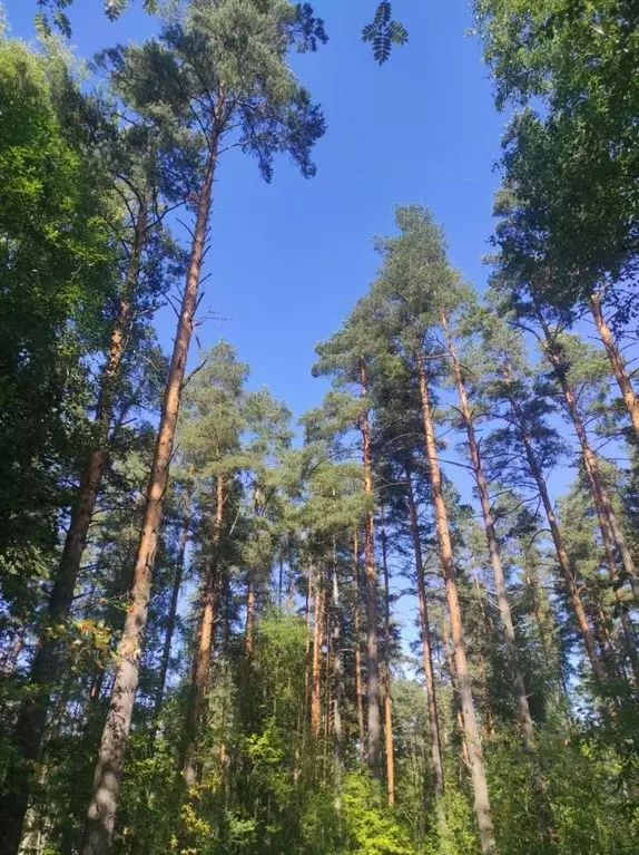 2-к кв. ленинградская область, приозерский район, пос. сосново ул. . - Фото 1